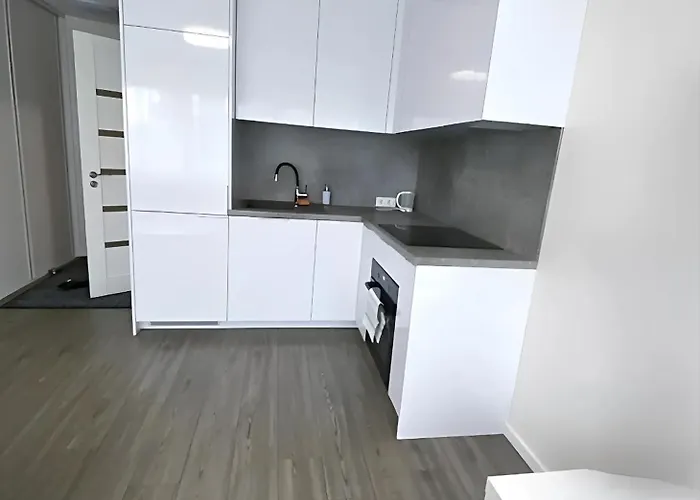 Klaipeda Old Town Studio Apartment